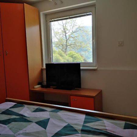 Apartment Zadraga Tolmin Kültér fotó