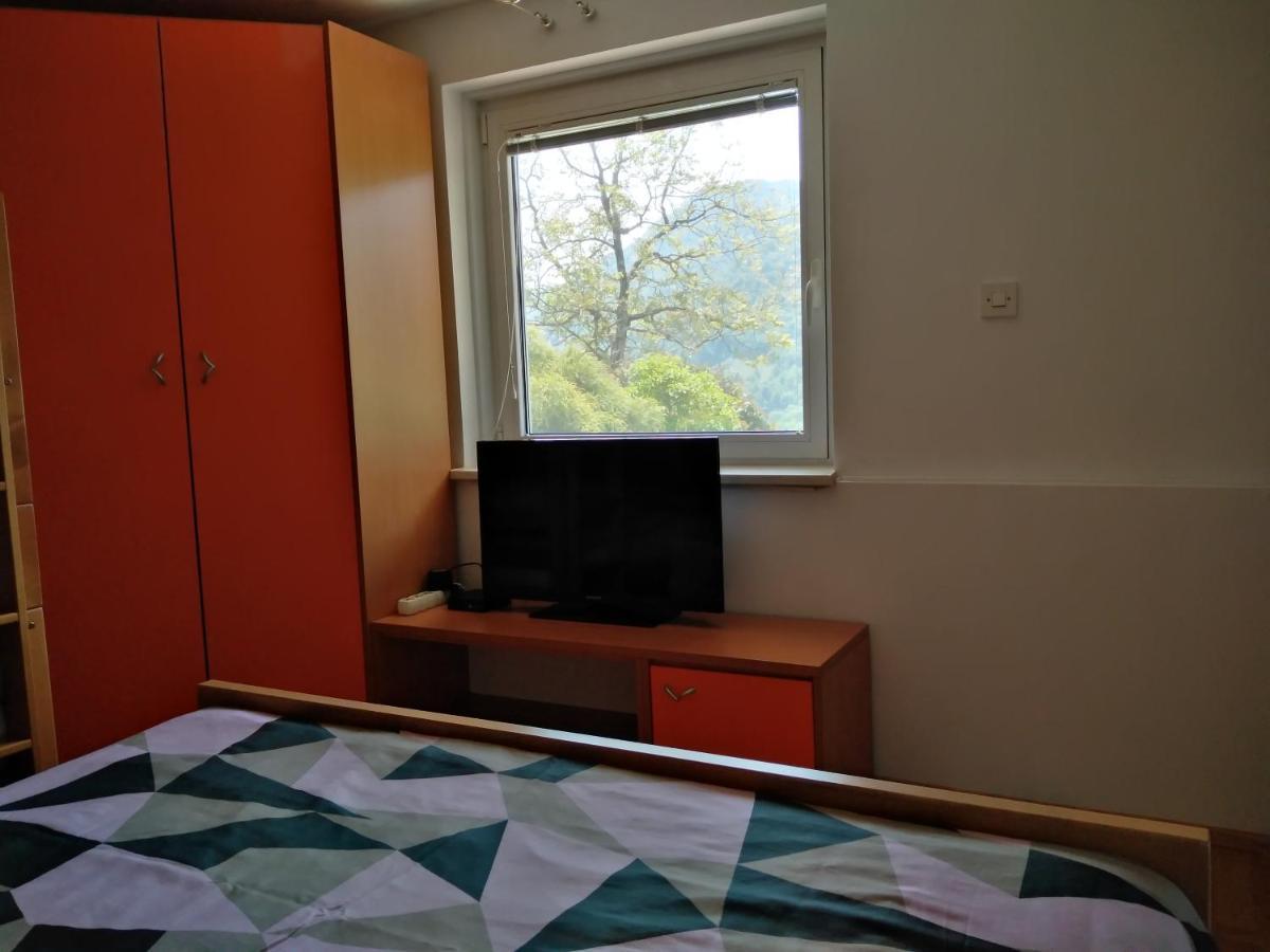 Apartment Zadraga Tolmin Kültér fotó