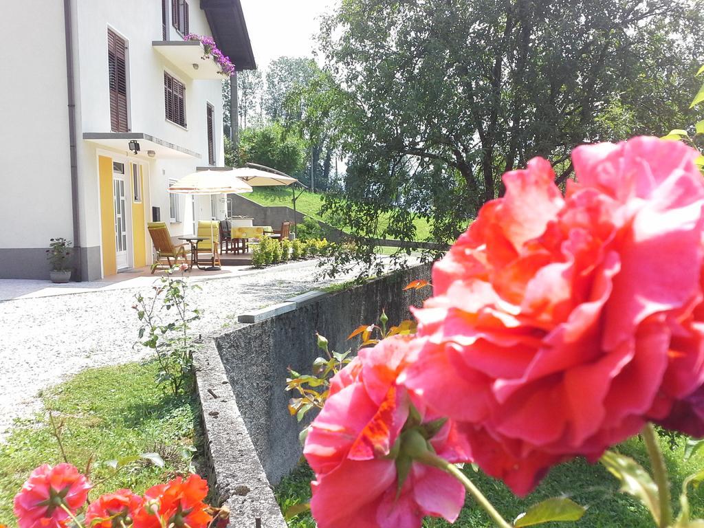 Apartment Zadraga Tolmin Kültér fotó